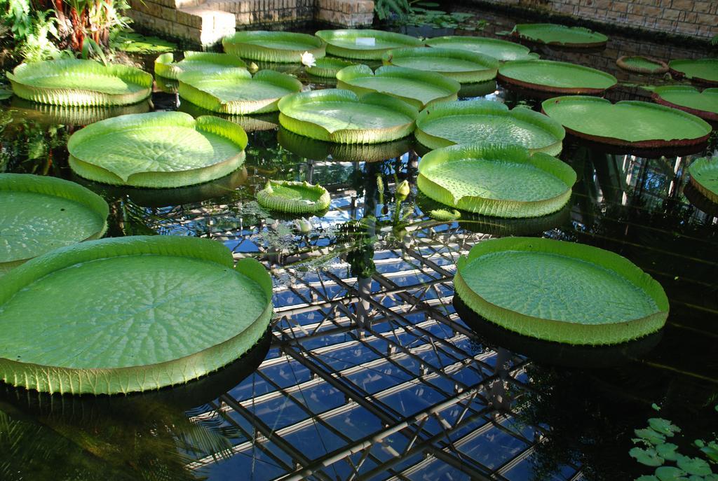 Yukurinaresort Okinawa Garden House 모토부 외부 사진