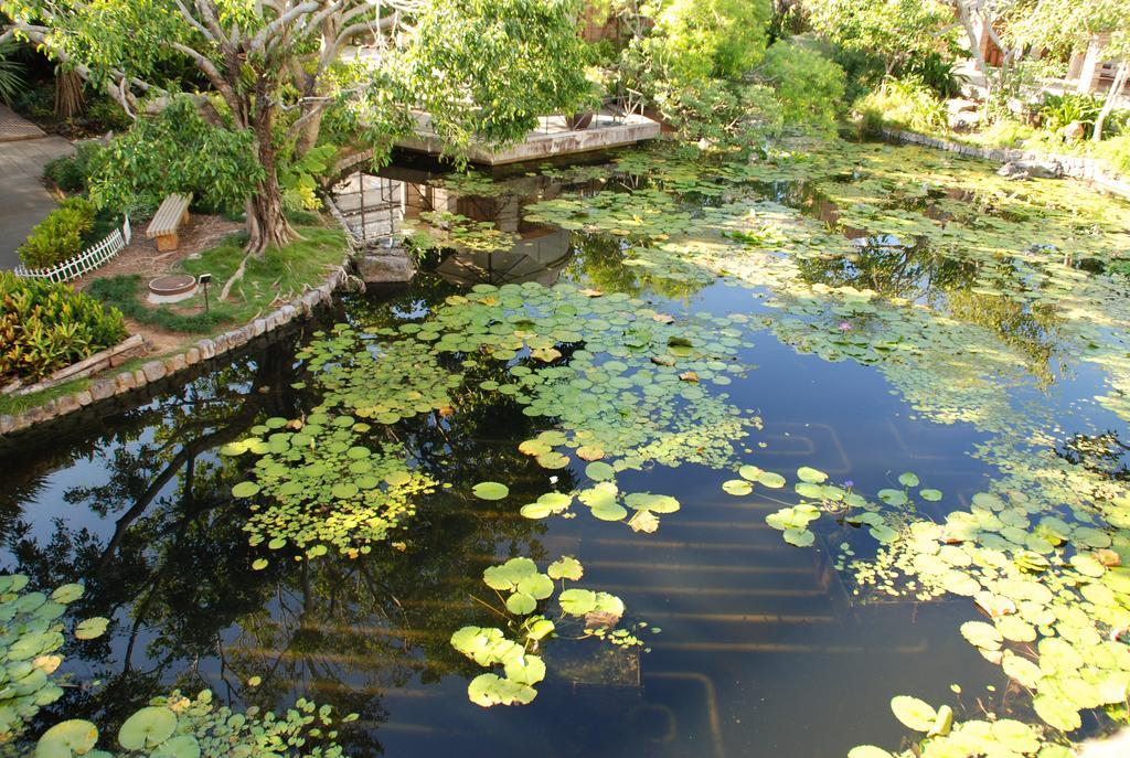 Yukurinaresort Okinawa Garden House 모토부 외부 사진